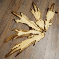 Marten fur Marten fur 2-piece set Stone marten Animal rug