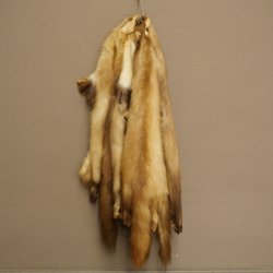 Marten fur Marten fur 2-piece set Stone marten Animal rug