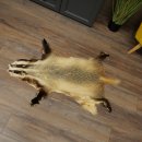 Badger Fur Badger Fur Blanket Fur Rug Rug Length 115 cm 87.26.7