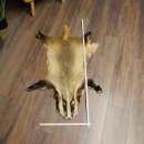 Badger Fur Badger Fur Blanket Fur Rug Rug Length 115 cm 87.26.7