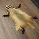 Badger Fur Badger Fur Blanket Fur Rug Rug Length 115 cm 87.26.7