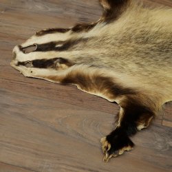 Badger Fur Badger Fur Blanket Fur Rug Rug Length 115 cm 87.26.7