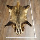 Badger Fur Badger Fur Blanket Fur Rug Rug Length 115 cm 87.26.7