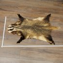Badger Fur Badger Fur Blanket Fur Rug Rug Length 115 cm 87.26.7