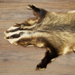 Badger Fur Badger Fur Blanket Fur Rug Rug Length 115 cm 87.26.7
