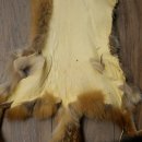 3 Red Fox Skins, Length 102–129 cm, Prepared, Decorative