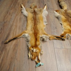 3 Red Fox Skins, Length 102–129 cm, Prepared, Decorative