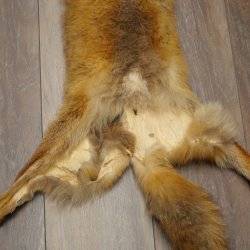 3 Red Fox Skins, Length 102–129 cm, Prepared, Decorative