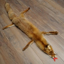 Fuchsfell Rotfuchsfell Fuchs Fell Länge 140 cm Vorleger präpariert Deko