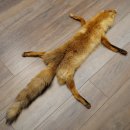 Pelle di volpe, pelle di volpe rossa, pelle di volpe, lunghezza 140 cm, tappetino preparato, decorazione