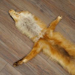 Pelle di volpe, pelle di volpe rossa, pelle di volpe, lunghezza 140 cm, tappetino preparato, decorazione