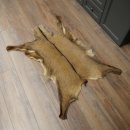 Gams Fell Tierfell Gamsfell Gemse Vorleger Dekoration Länge 112 cm 87.7.22