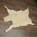 Gams Fell Tierfell Gamsfell Gemse Vorleger Dekoration Länge 112 cm 87.7.22