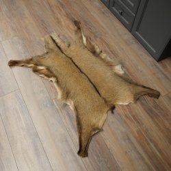 Gams Fell Tierfell Gamsfell Gemse Vorleger Dekoration Länge 112 cm 87.7.22