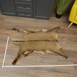 Gams Fell Tierfell Gamsfell Gemse Vorleger Dekoration Länge 112 cm 87.7.22