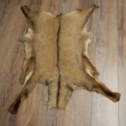 Gams Fell Tierfell Gamsfell Gemse Vorleger Dekoration Länge 112 cm 87.7.22