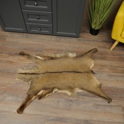 Gams Fell Tierfell Gamsfell Gemse Vorleger Dekoration Länge 112 cm 87.7.22