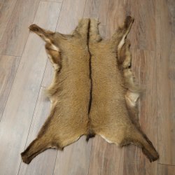 Gams Fell Tierfell Gamsfell Gemse Vorleger Dekoration Länge 112 cm 87.7.22