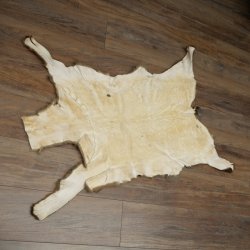 Gams Fell Tierfell Gamsfell Gemse Vorleger Dekoration Länge 112 cm 87.7.22