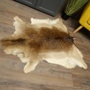 Damhirsch Fell Damhirschfell Hirschfell Vorleger Teppich...