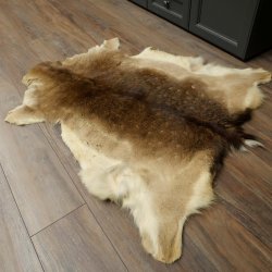 Damhirsch Fell Damhirschfell Hirschfell Vorleger Teppich Deko Länge 112 cm 87.3.38