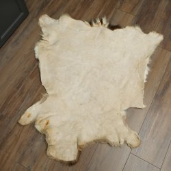 Damhirsch Fell Damhirschfell Hirschfell Vorleger Teppich Deko Länge 112 cm 87.3.38