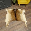 Pelle di daino Pelle di daino Pelle di cervo Tappeto decorativo Lunghezza 112 cm 87.3.38