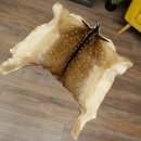 Pelle di daino Pelle di daino Pelle di cervo Tappeto decorativo Lunghezza 112 cm 87.3.38