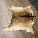 Pelle di daino Pelle di daino Pelle di cervo Tappeto decorativo Lunghezza 112 cm 87.3.38