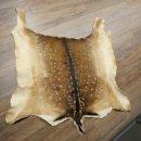 Pelle di daino Pelle di daino Pelle di cervo Tappeto decorativo Lunghezza 112 cm 87.3.38