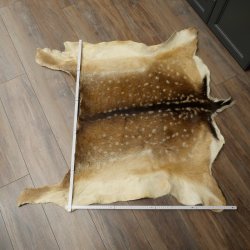 Pelle di daino Pelle di daino Pelle di cervo Tappeto decorativo Lunghezza 112 cm 87.3.38