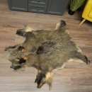 Peau de sanglier Peau de sanglier sauvage Couenne de...