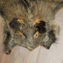 Peau de sanglier Peau de sanglier sauvage Couenne de sanglier Tapis de sol Longueur 180 cm 87.6.41