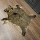 Peau de sanglier Peau de sanglier sauvage Couenne de sanglier Tapis de sol Longueur 180 cm 87.6.41