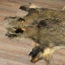 Peau de sanglier Peau de sanglier sauvage Couenne de sanglier Tapis de sol Longueur 180 cm 87.6.41