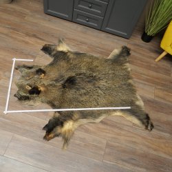 Peau de sanglier Peau de sanglier sauvage Couenne de sanglier Tapis de sol Longueur 180 cm 87.6.41