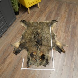 Peau de sanglier Peau de sanglier sauvage Couenne de sanglier Tapis de sol Longueur 180 cm 87.6.41