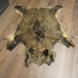 Peau de sanglier Peau de sanglier sauvage Couenne de sanglier Tapis de sol Longueur 180 cm 87.6.41