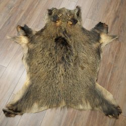 Peau de sanglier Peau de sanglier sauvage Couenne de sanglier Tapis de sol Longueur 180 cm 87.6.41