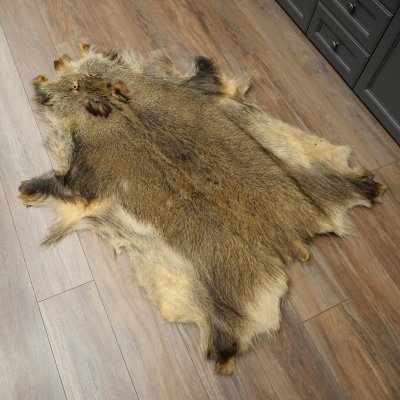 Peau de sanglier Peau de sanglier sauvage Couenne de sanglier Tapis de sol Longueur 180 cm 87.6.41