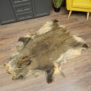 Peau de sanglier Peau de sanglier sauvage Couenne de sanglier Tapis de sol Longueur 180 cm 87.6.41