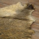 Peau de sanglier Peau de sanglier sauvage Couenne de sanglier Tapis de sol Longueur 180 cm 87.6.41