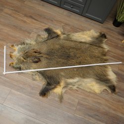 Peau de sanglier Peau de sanglier sauvage Couenne de sanglier Tapis de sol Longueur 180 cm 87.6.41