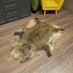 Peau de sanglier Peau de sanglier sauvage Couenne de sanglier Tapis de sol Longueur 180 cm 87.6.41