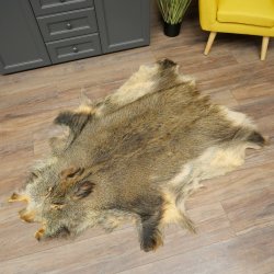 Peau de sanglier Peau de sanglier sauvage Couenne de sanglier Tapis de sol Longueur 180 cm 87.6.41
