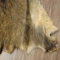 Peau de sanglier Peau de sanglier sauvage Couenne de sanglier Tapis de sol Longueur 180 cm 87.6.41