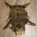 Peau de sanglier Peau de sanglier sauvage Couenne de...