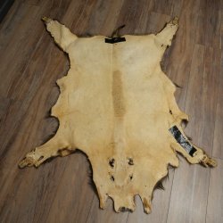 Peau de sanglier Peau de sanglier sauvage Couenne de sanglier Tapis de sol Longueur 180 cm 87.6.41