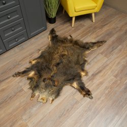 Peau de sanglier Peau de sanglier sauvage Couenne de sanglier Tapis de sol Longueur 180 cm 87.6.41