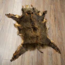Peau de sanglier Peau de sanglier sauvage Couenne de sanglier Tapis de sol Longueur 180 cm 87.6.41